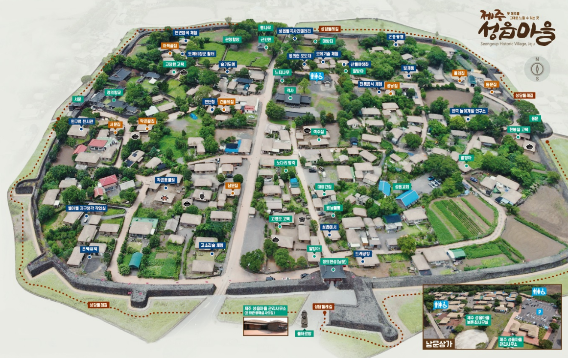 보롬왓 대파축제 2025