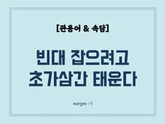속담 빈대 잡으려고 초가삼간 태운다 의미와 예시_9