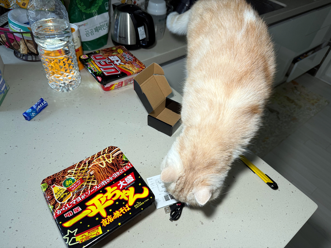 울란지 VL49 카메라 조명