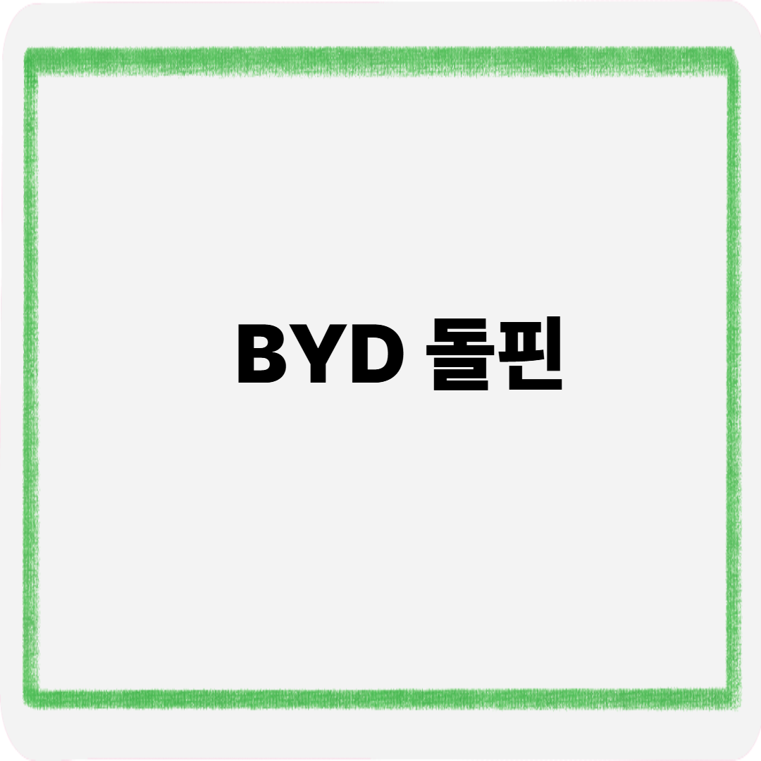 BYD 돌핀