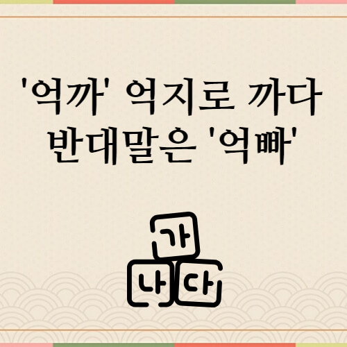 억까-뜻-예시