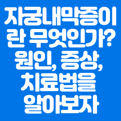 자궁내막증이란무엇인가?원인,증상,치료법을알아보자-파란바탕-하얀글씨-썸네일이미지
