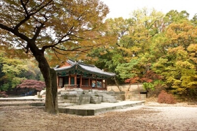 서울-가을-단풍-명소-창덕궁-후원