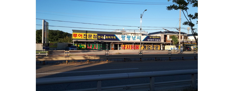 성주군 낚시용품