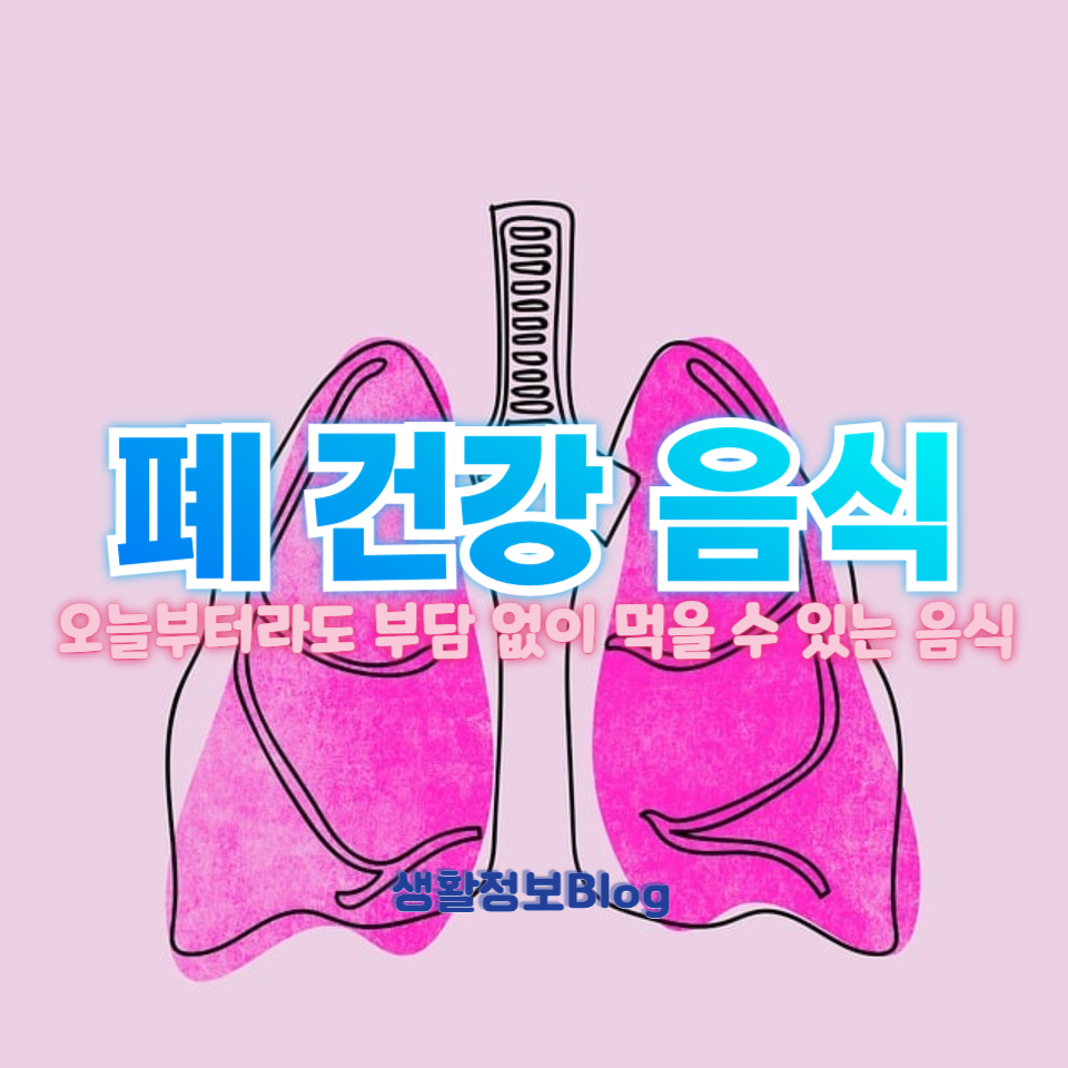 폐 건강 음식