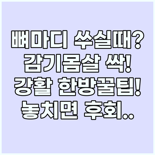 강활 뼈마디 쑤시고 감기몸살 들 때 ..