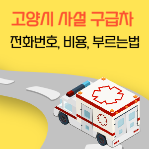 고양시 사설 민간 구급차 전화번호 비용 부르는 법