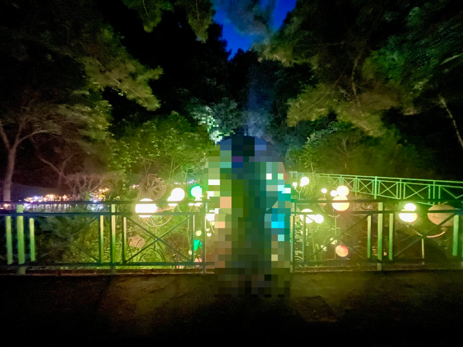 달빛의 안단테 감상2