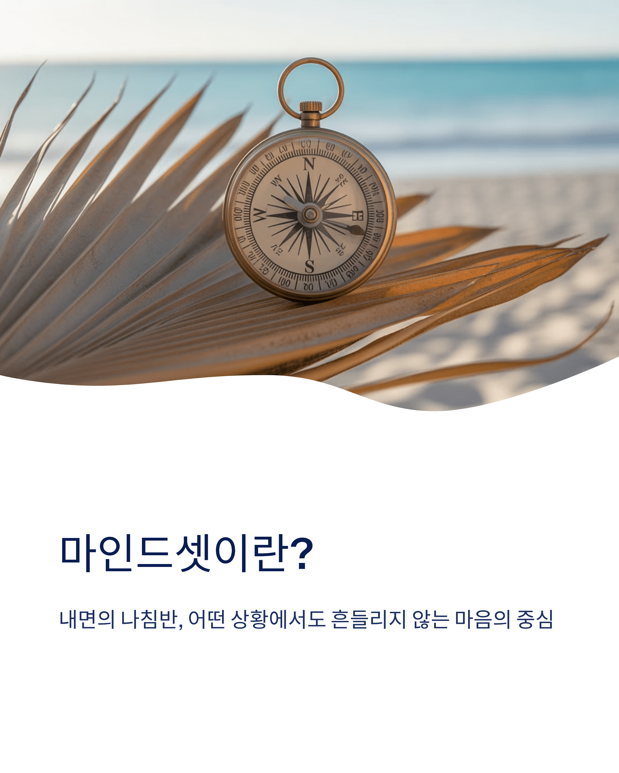 마인드셋 뜻