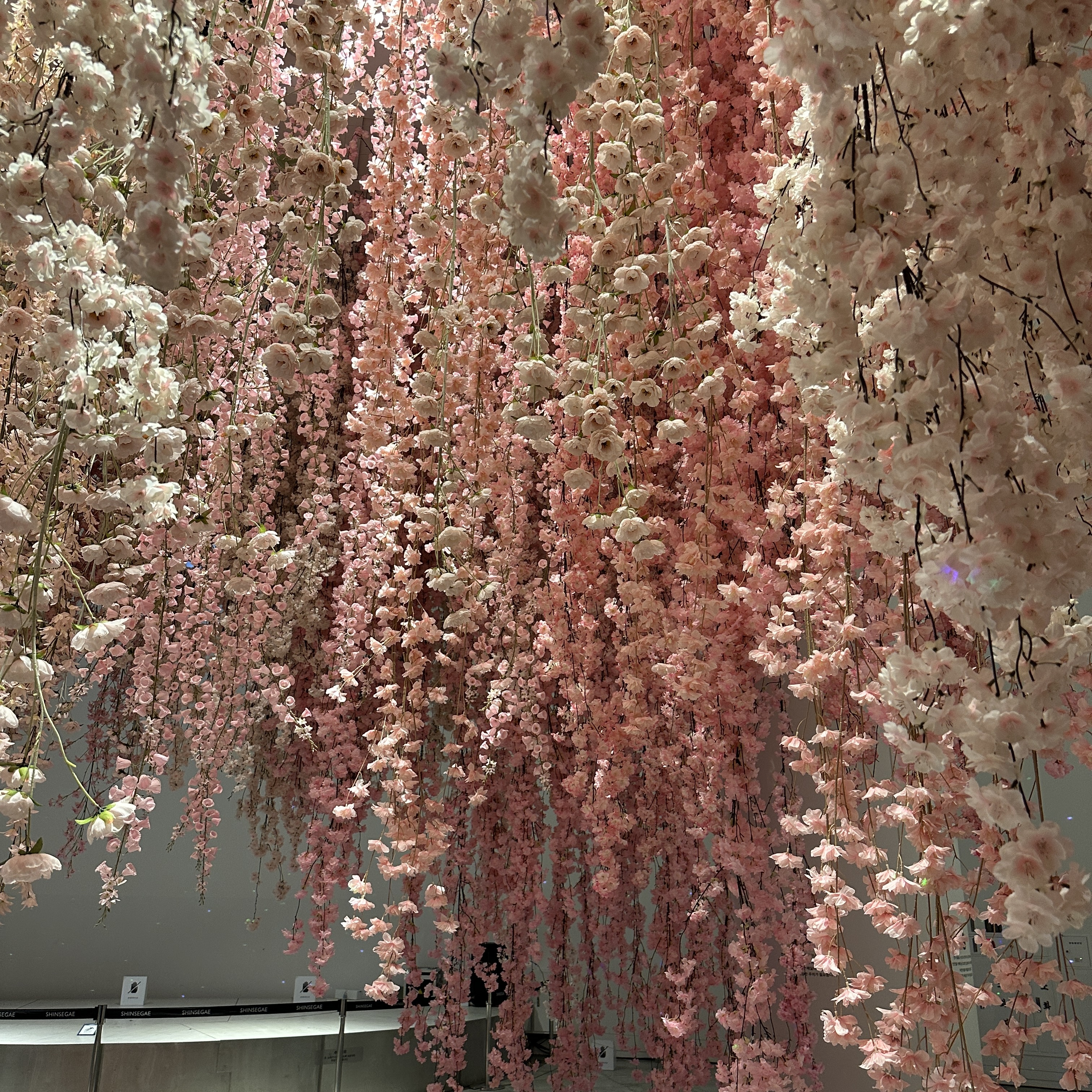 블루밍플레이리스트_센텀신세계팝업