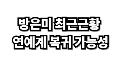 방은미 최근 근황과 연예계 복귀 가능성