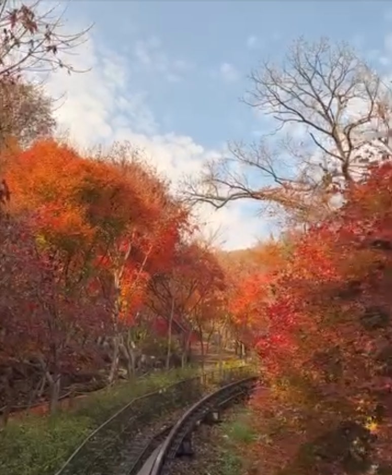 화담숲 단풍시기 예약 단풍명소