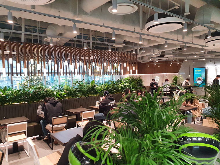 초록색-풀이-많은-실내