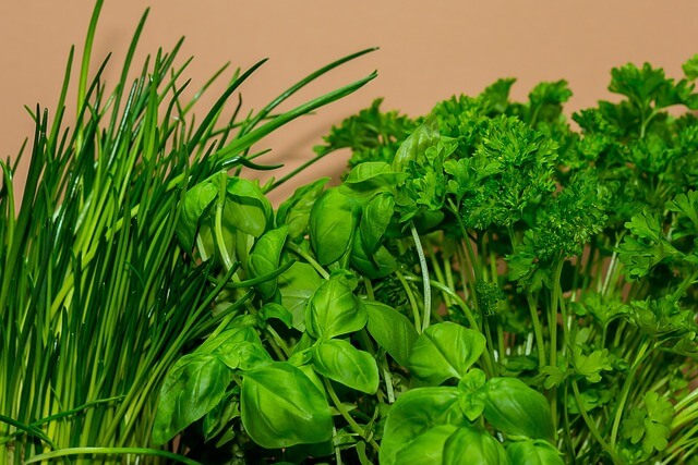 chives