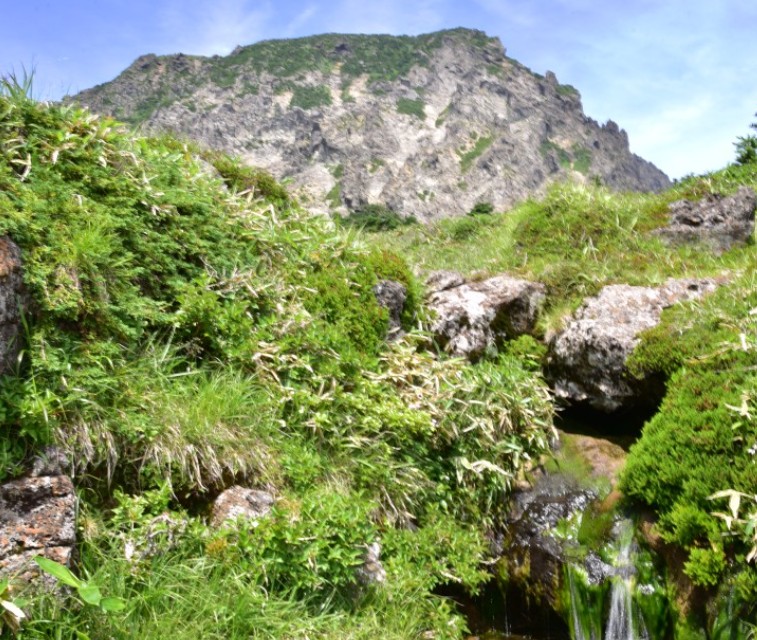 한라산-백록샘
