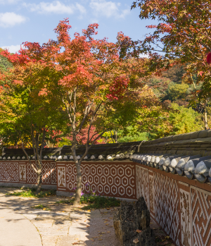 화담숲 전통담장길