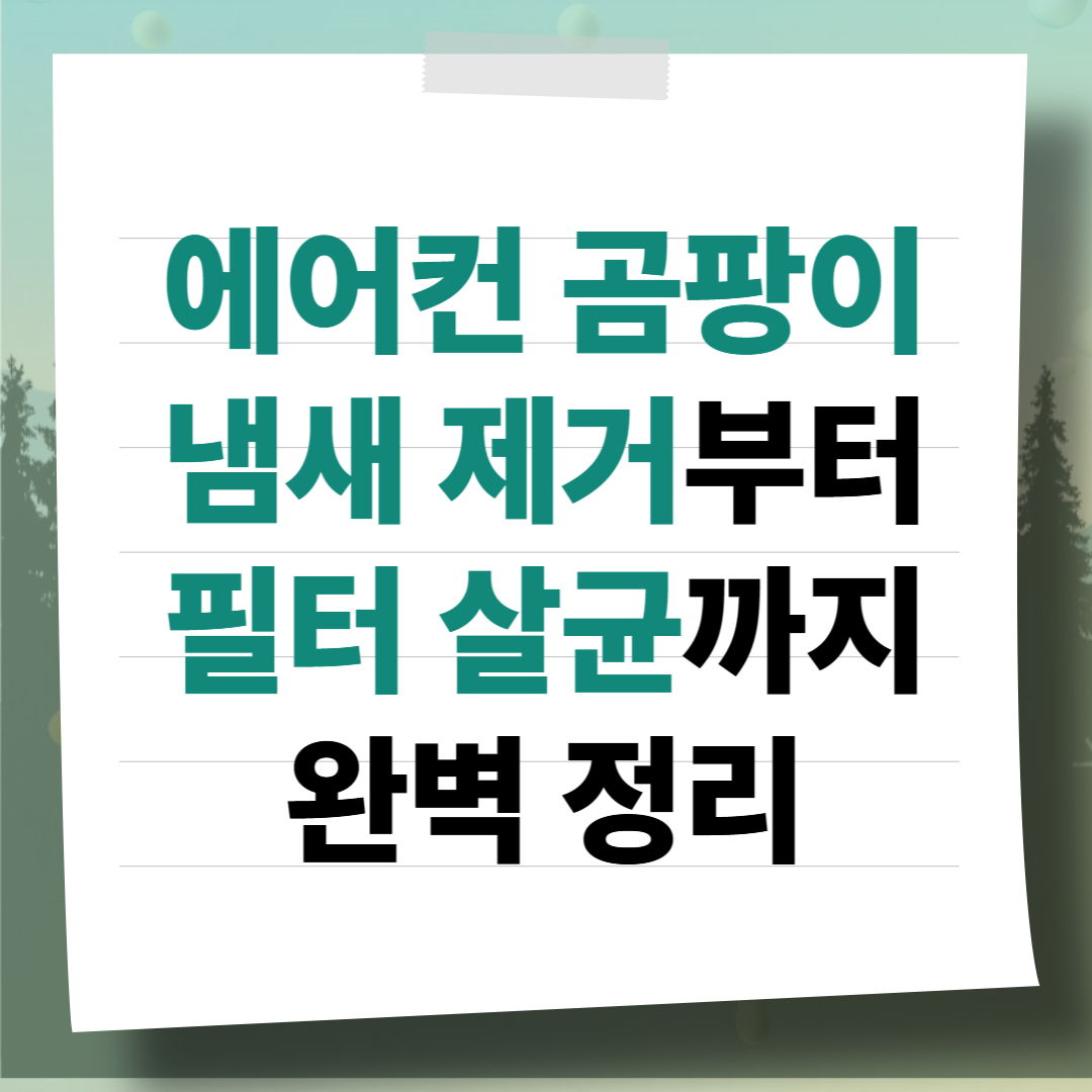 에어컨 셀프 청소 가이드: 곰팡이 냄새 제거부터 필터 살균까지 완벽 정리