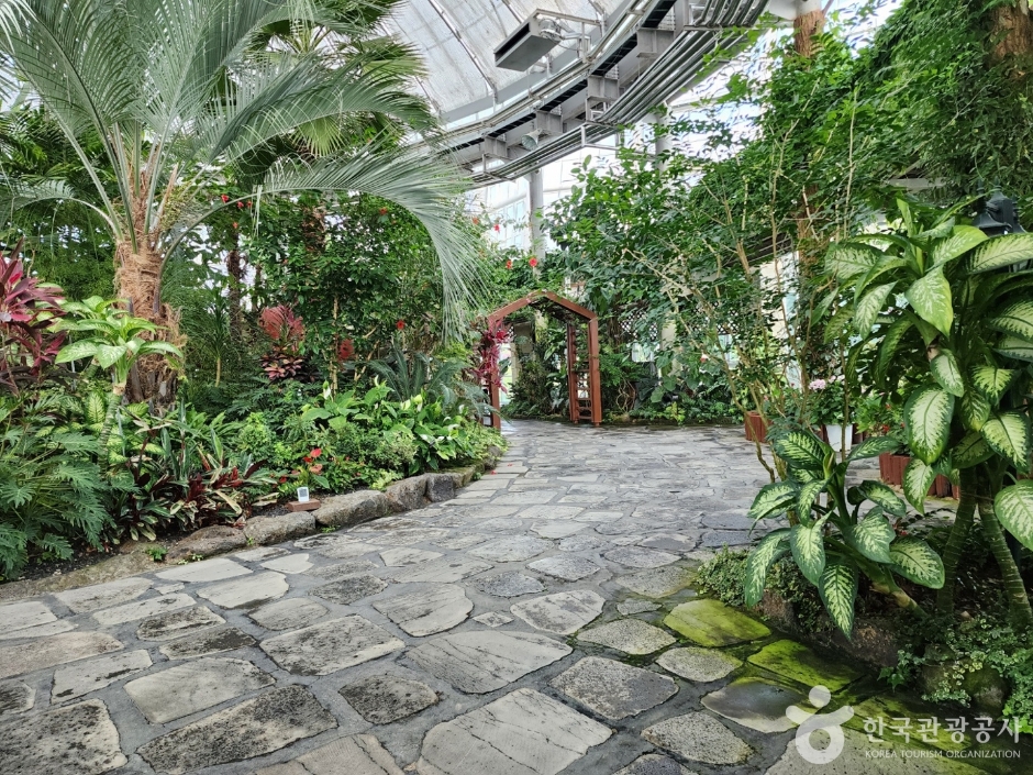 [4월~5월 여행지]만개한 꽃잔디와 봄날의 감동, 거창창포원에서 만난 힐링의 순간