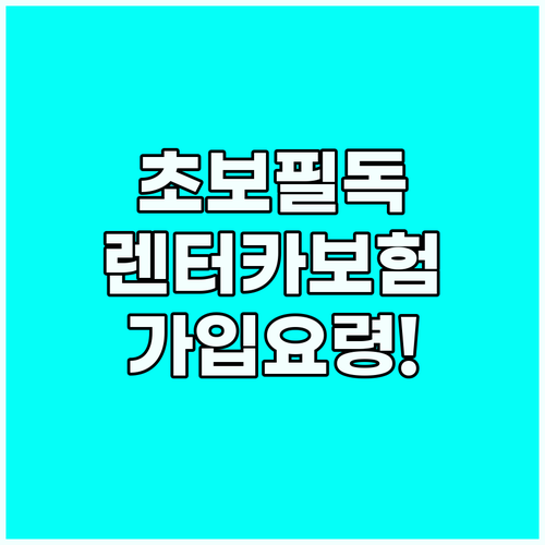 초보 운전자 필독: 렌터카 보험 가입..