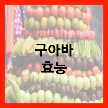 구아바 효능
