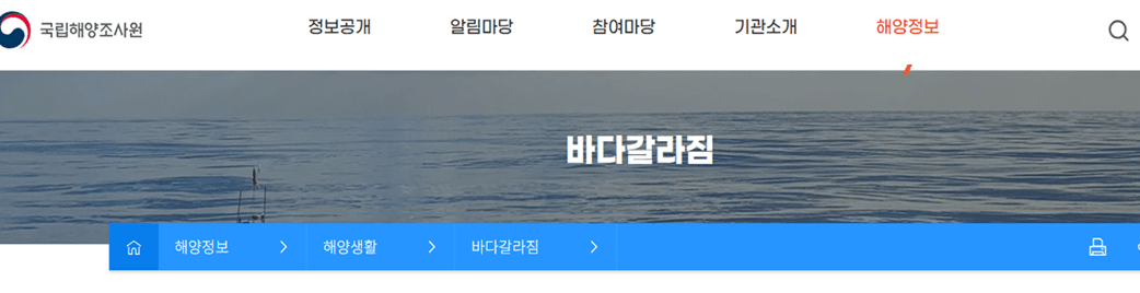 소매물도 바닷길 열리는 시간