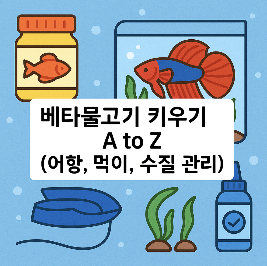 베타물고기 키우기 A to Z (어항, 먹이, 수질 관리)