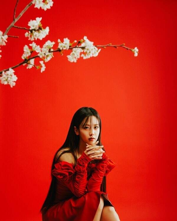강혜연 프로필 