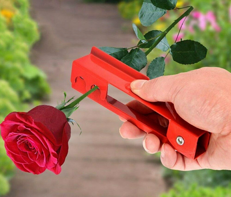 장미 가시 제거기