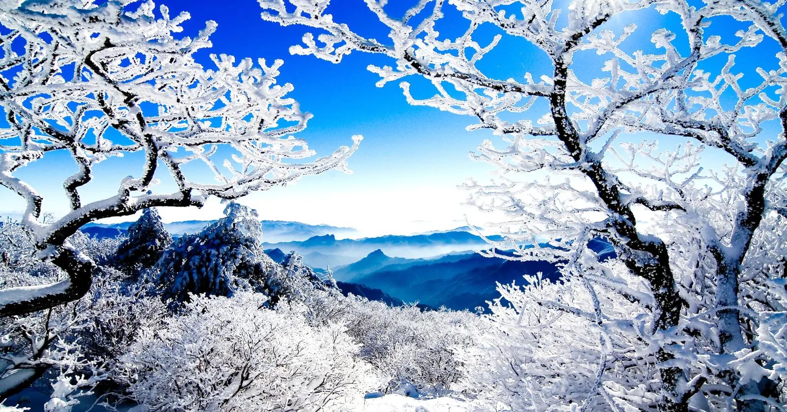 한라산 실시간 CCTV는 별도 확인