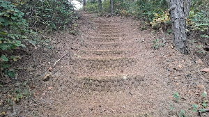 화성_우리꽃식물원_국화전시회