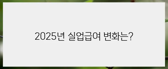 2025년 실업급여 기준 변화: 하한액과 세후 영향 분석