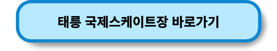 서울의 스케이트장 (21)