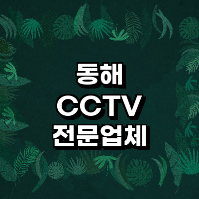 동해시 cctv