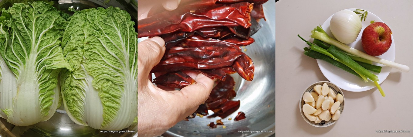 배추겉절이 재료(배추, 홍고추, 사과, 파, 마늘, 양파)