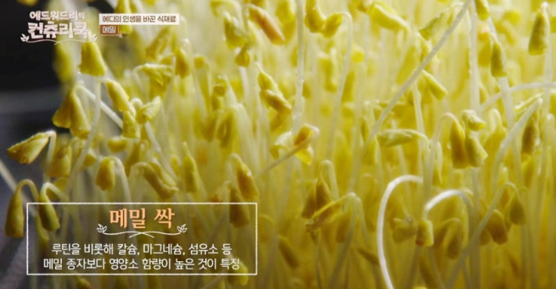에드워드 리의 컨츄리 쿡에 등장한 평창 맛집