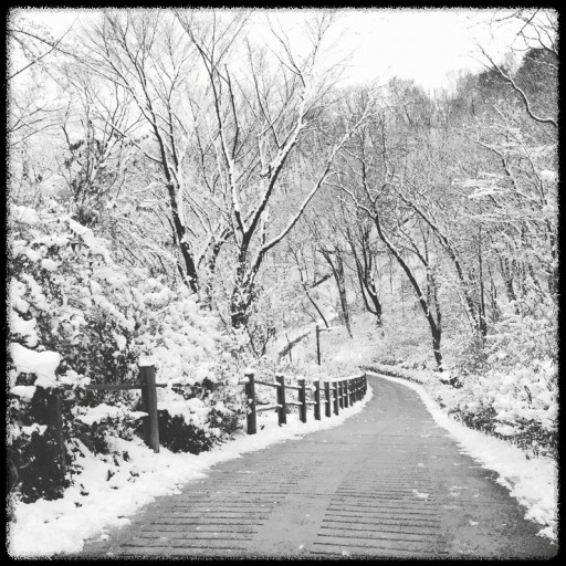 국내 겨울 설경 여행지 Best 10: 눈 덮인 명소와 일출&middot;일몰 스팟