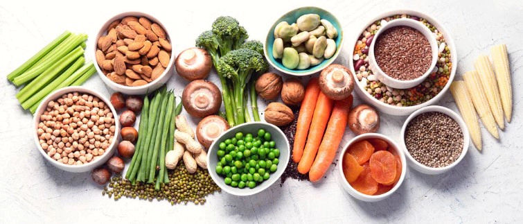 식물성 단백질 음식 9가지 및 식물성 단백질 효능
