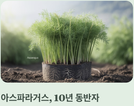 결론: 초보자에겐 '봄'이 정답인 이유