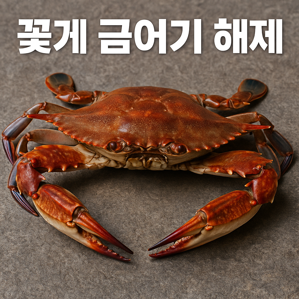 꽃게 금어기 해제! 지금이 바로 꽃게를 즐길 최고의 시기 🦀