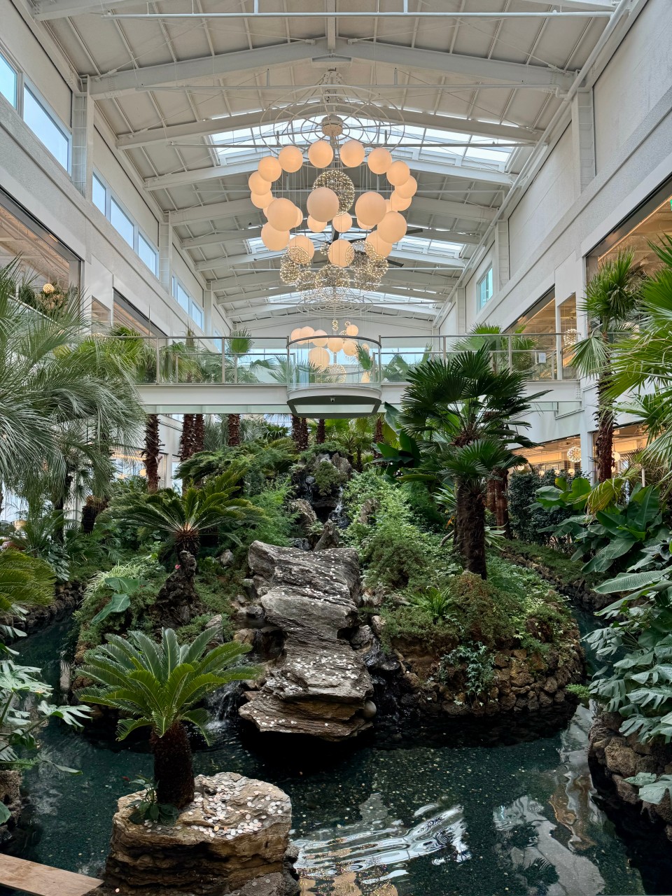 팜브릿지 카페 내부 사진