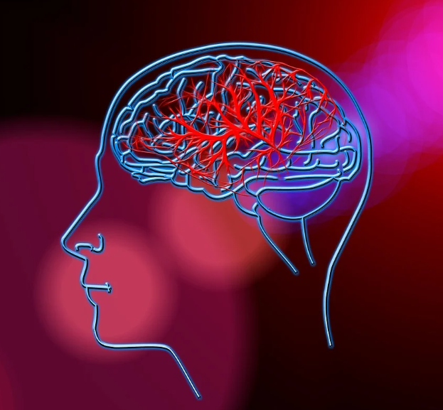 혈액순환이미지