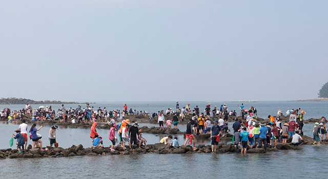 무창포 도다리주꾸미축제 신비의 바닷길 근처맛집