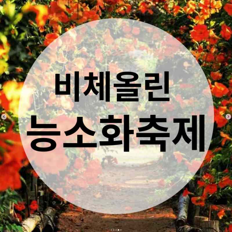 비체올린 능소화축제