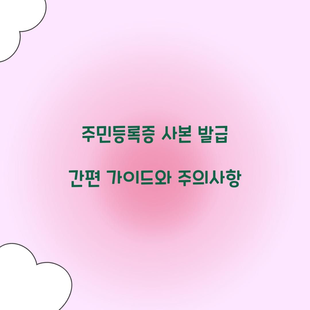 주민등록증 사본 발급