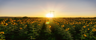 청년도약계좌 은행별 금리