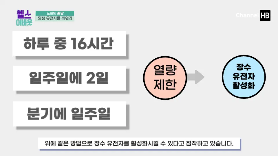 NMN효능