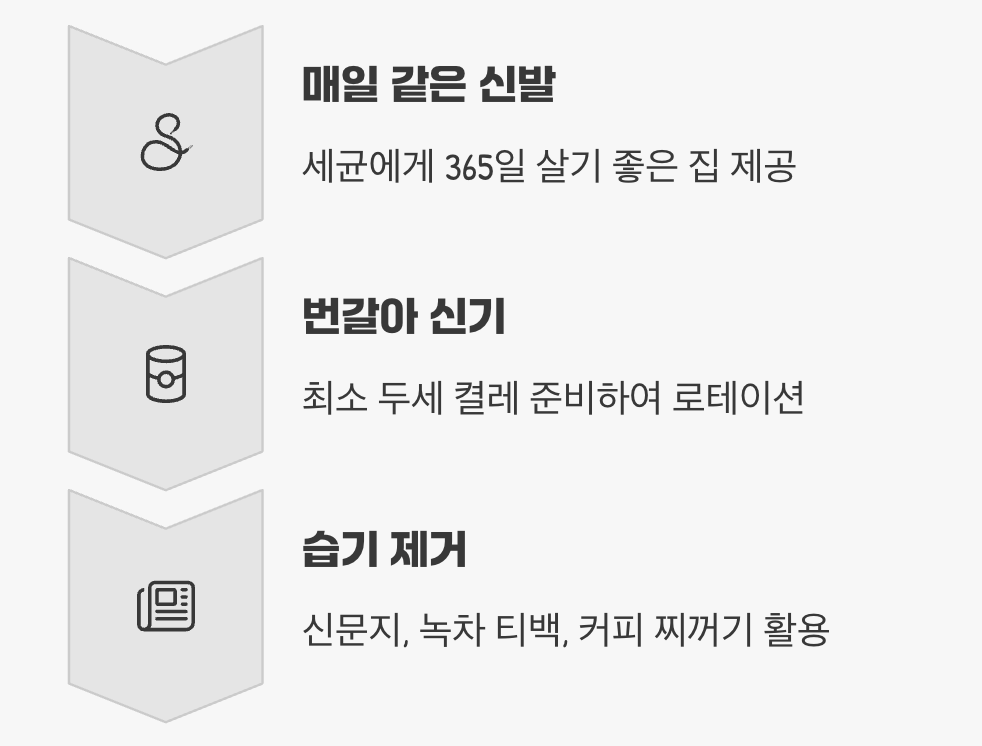 신발, 하루는 쉬게 해주세요