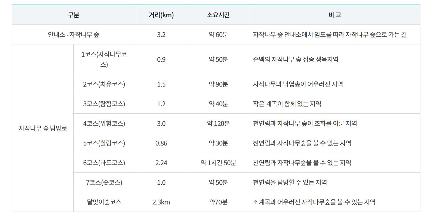 인제- 자작나무숲의 -위치와 -접근성