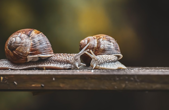 요양보호사 자격증 취득방법 13