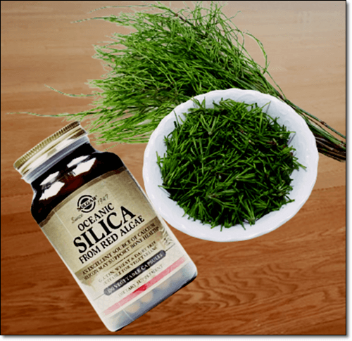 실리카 보충제와 쇠뜨기 